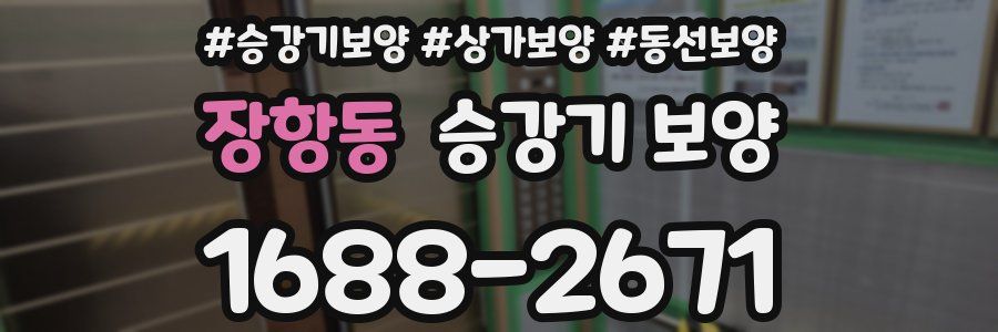 장항동 승강기 보양