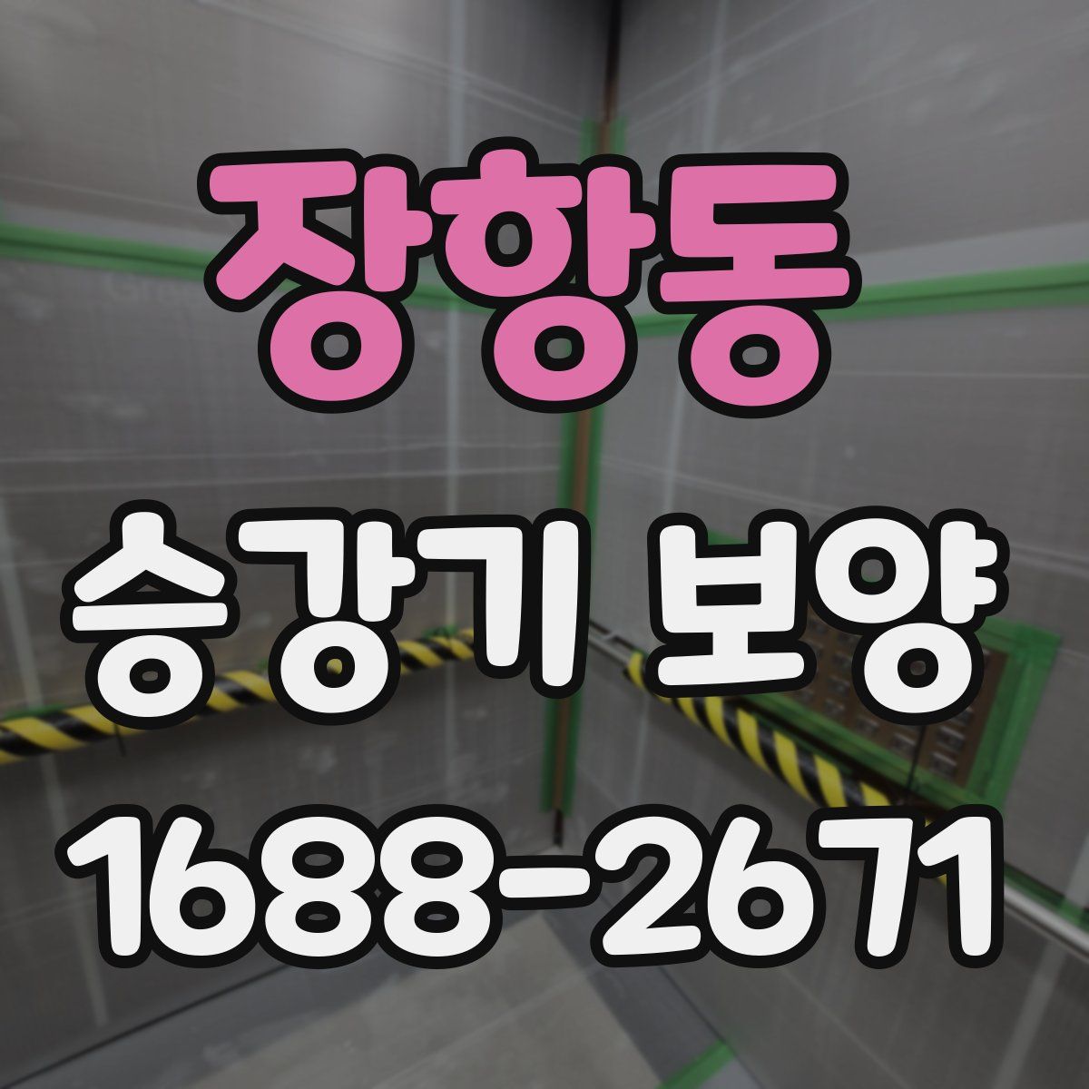 장항동 승강기 보양