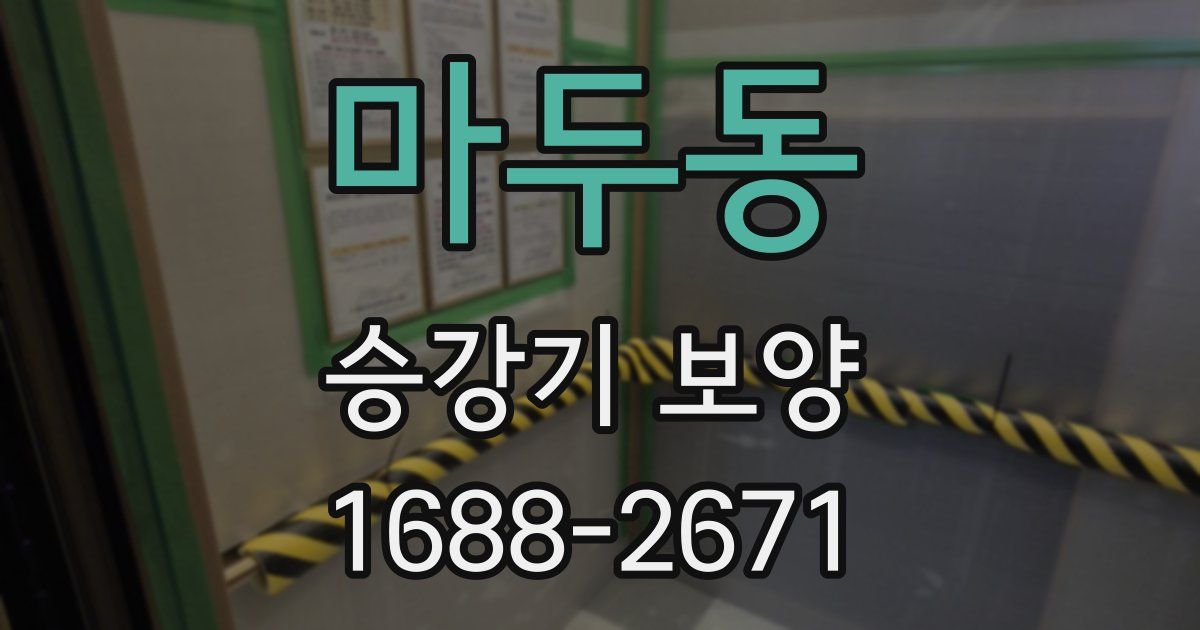 마두동 승강기 보양