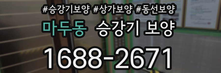 마두동 승강기 보양
