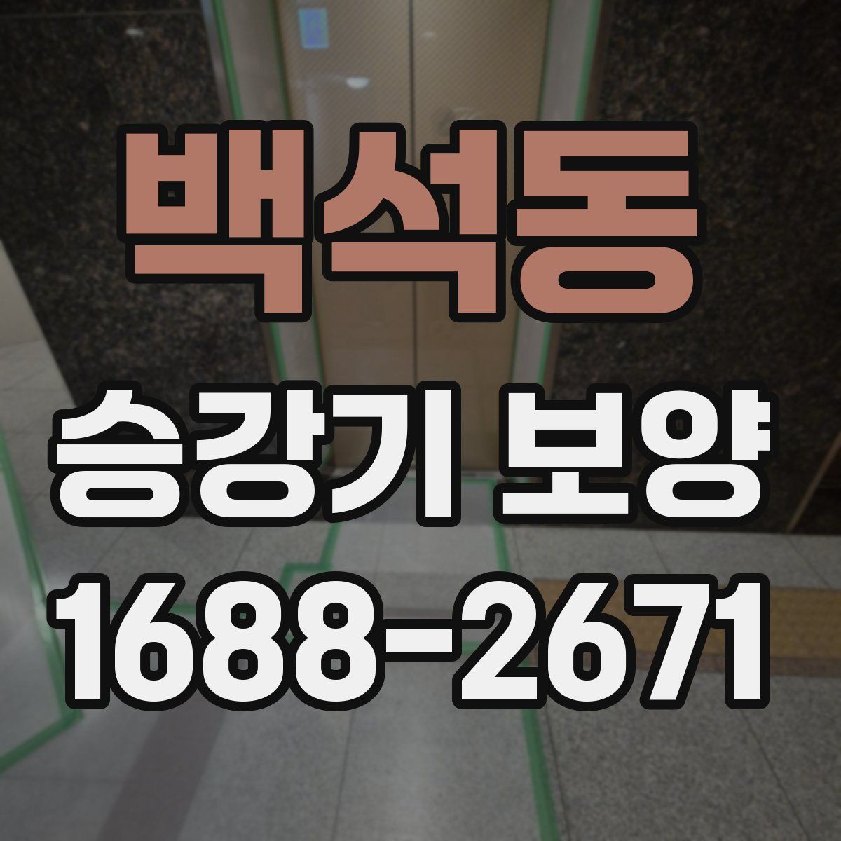 백석동 승강기 보양