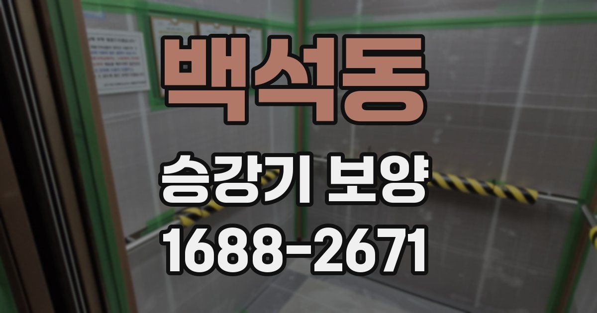 백석동 승강기 보양