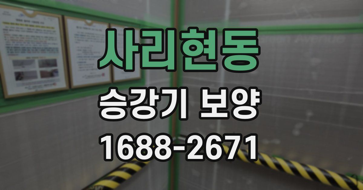 사리현동 승강기 보양