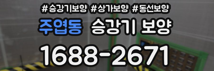 주엽동 승강기 보양