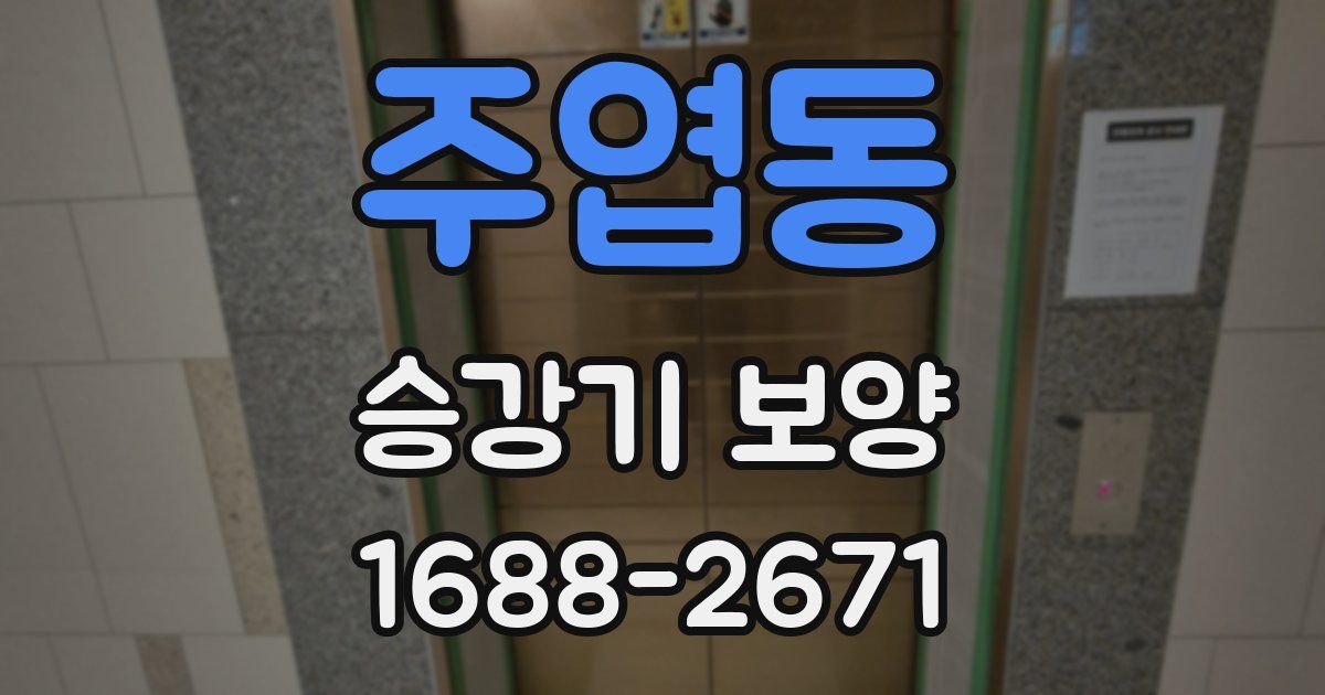 주엽동 승강기 보양