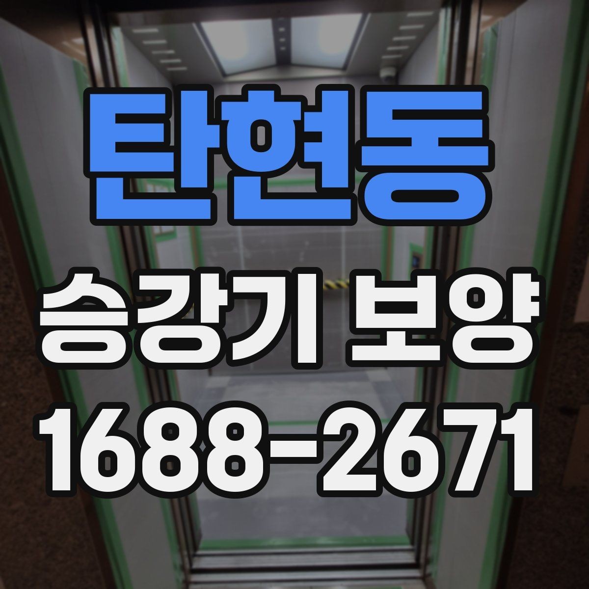 탄현동 승강기 보양 현장 맞춤형 진행 방식