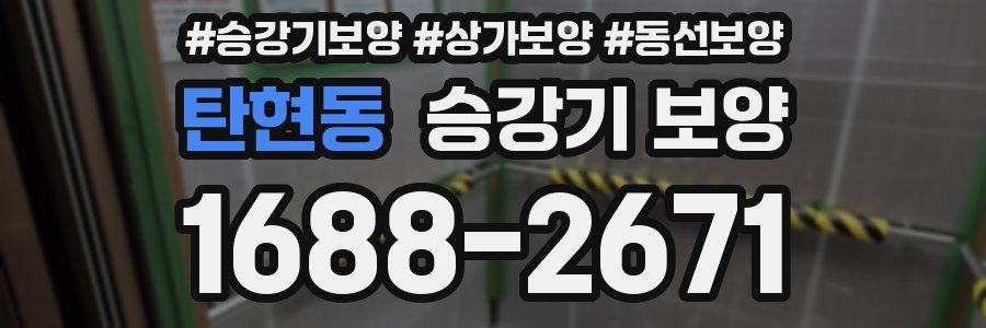 탄현동 승강기 보양