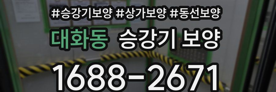 대화동 승강기 보양