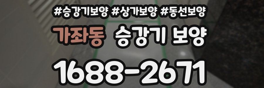 가좌동 승강기 보양
