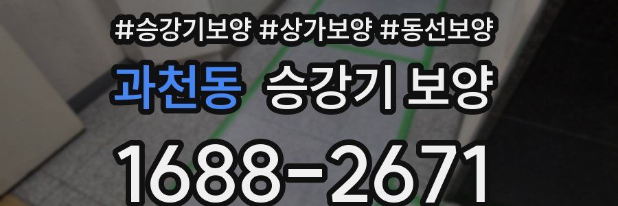 과천동 승강기 보양