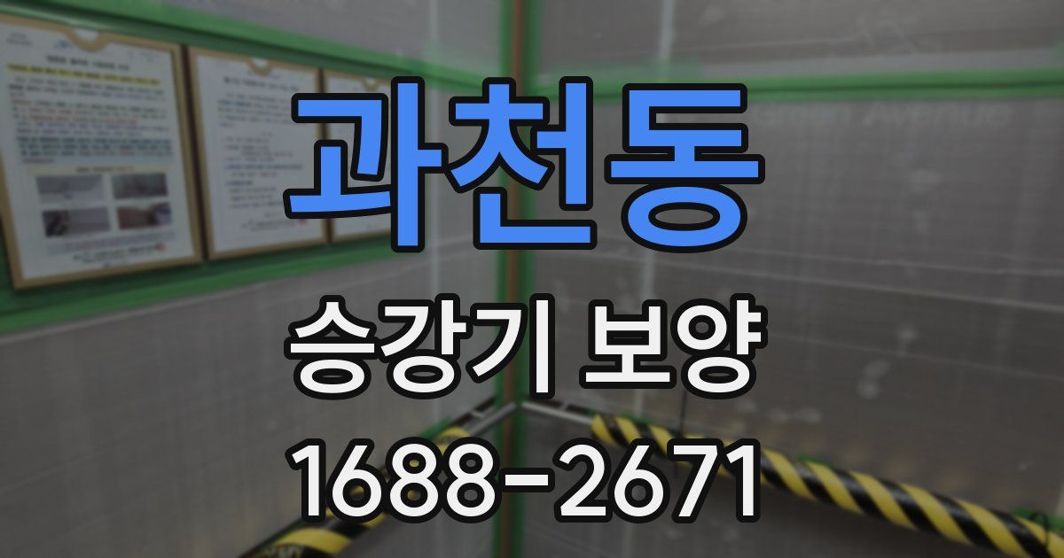 과천동 승강기 보양