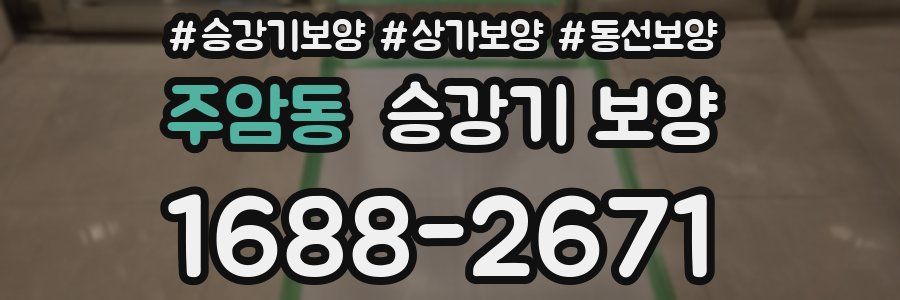 주암동 승강기 보양