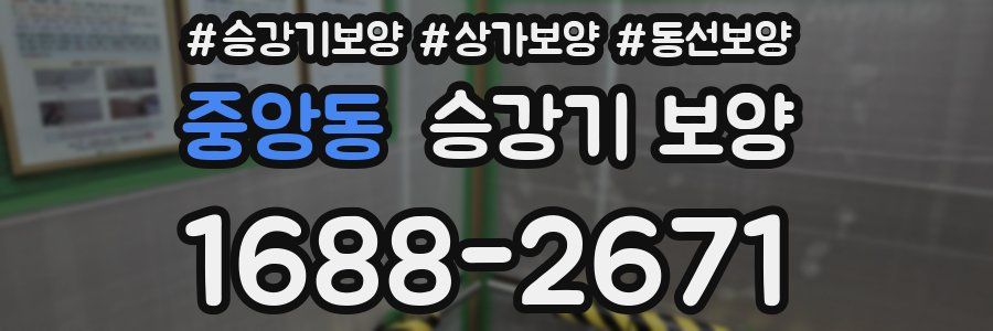 중앙동 승강기 보양