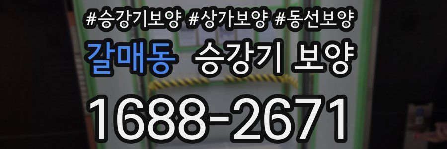 갈매동 승강기 보양