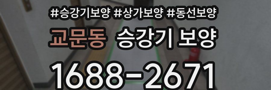 교문동 승강기 보양