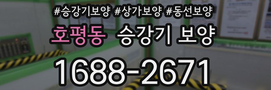 호평동 승강기 보양