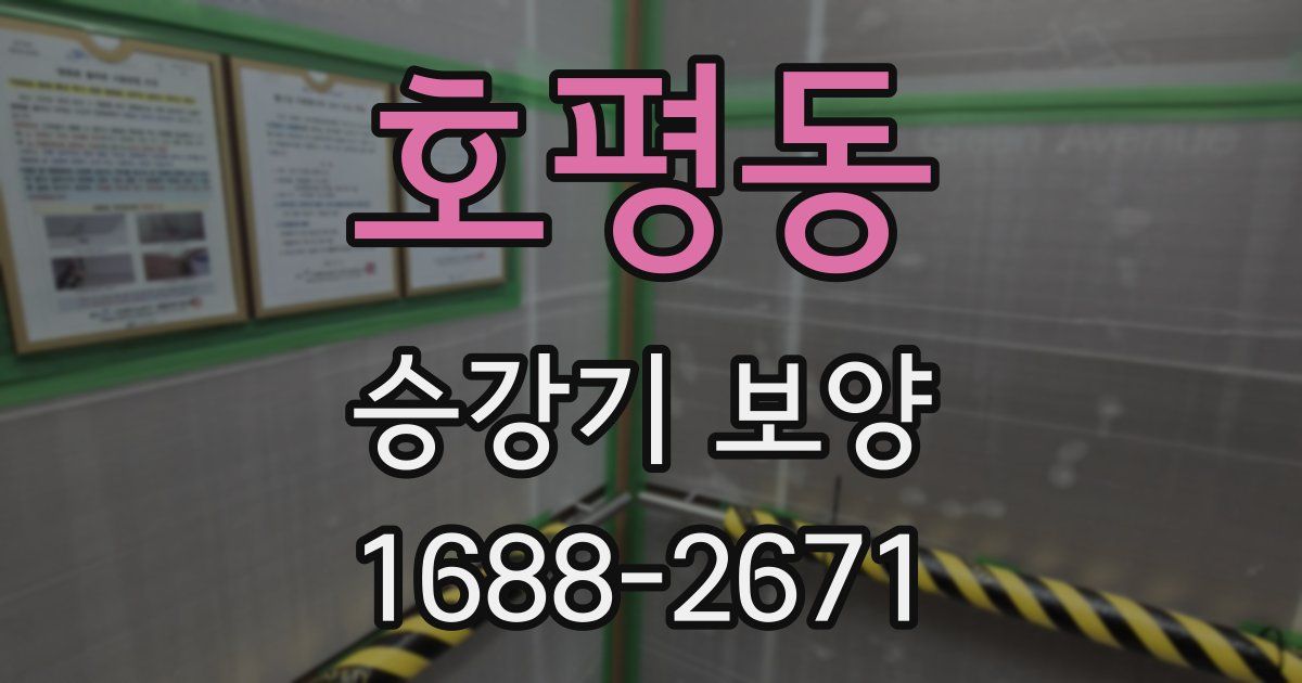 호평동 승강기 보양