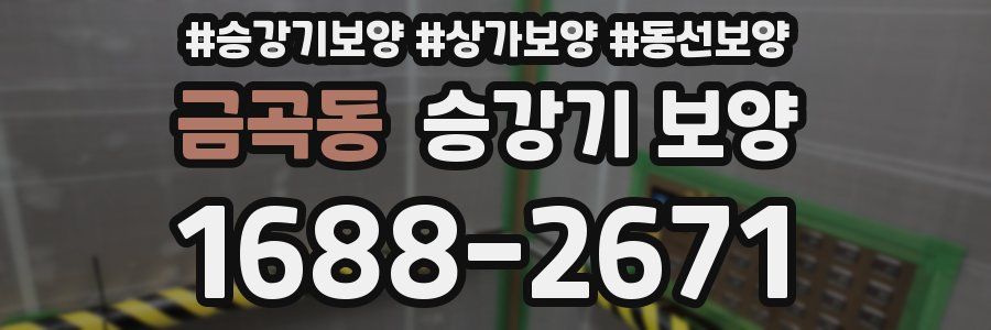 금곡동 승강기 보양
