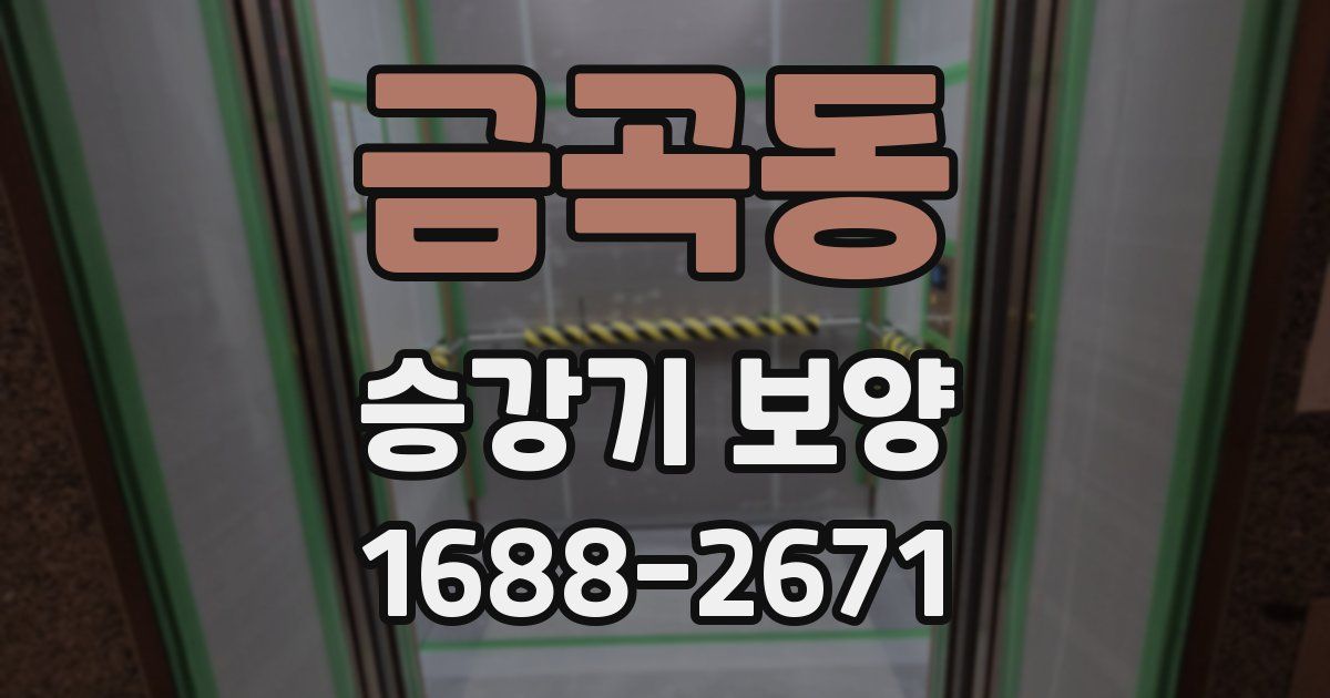 금곡동 승강기 보양