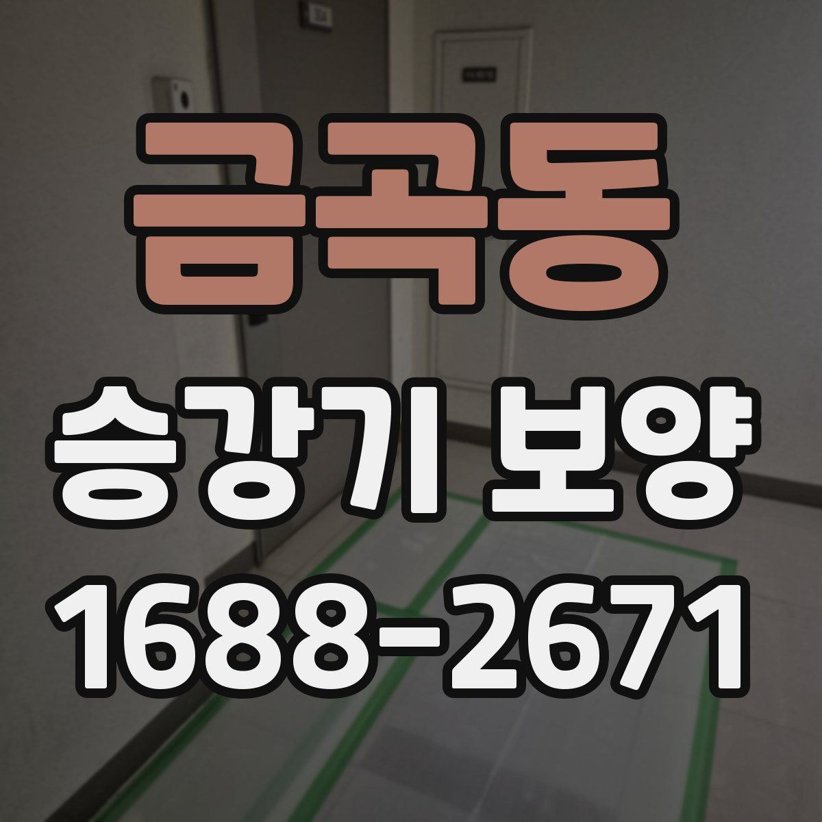 금곡동 승강기 보양