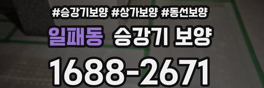 일패동 승강기 보양