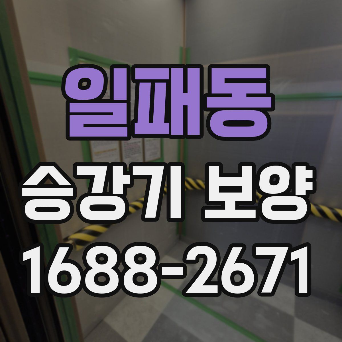 일패동 승강기 보양
