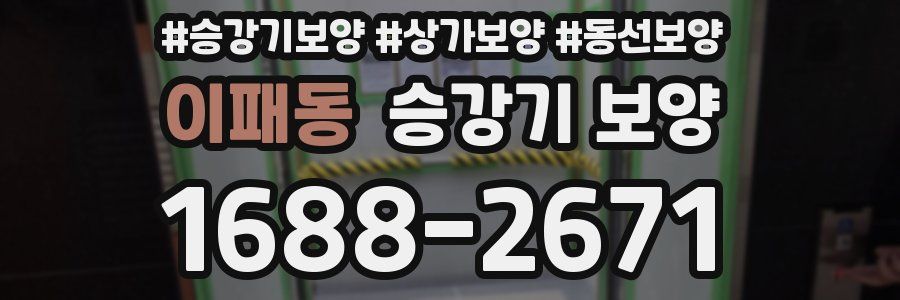 이패동 승강기 보양