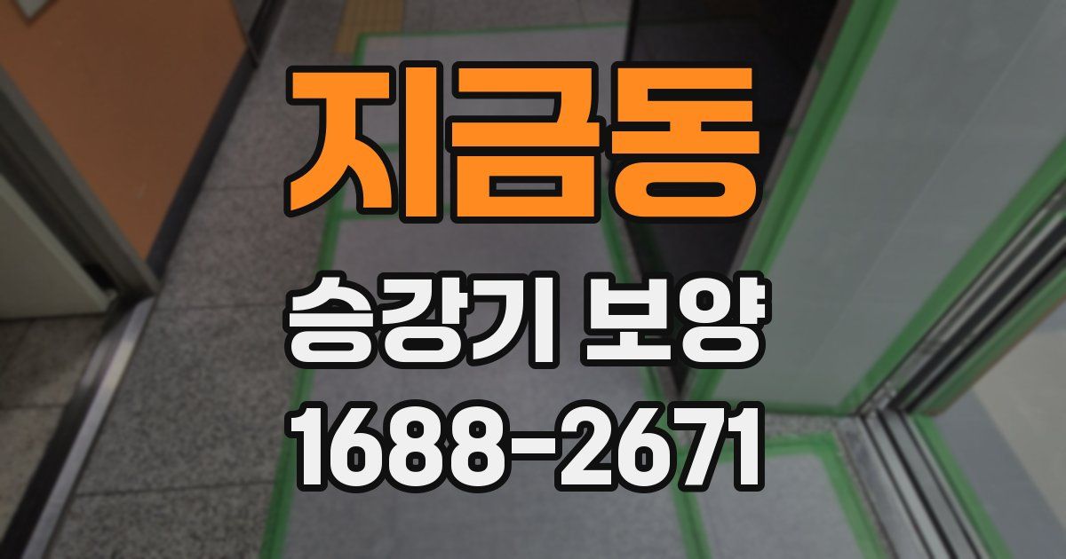 지금동 승강기 보양