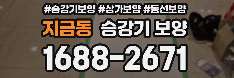 지금동 승강기 보양