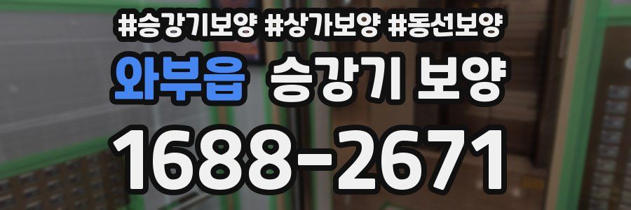 와부읍 승강기 보양
