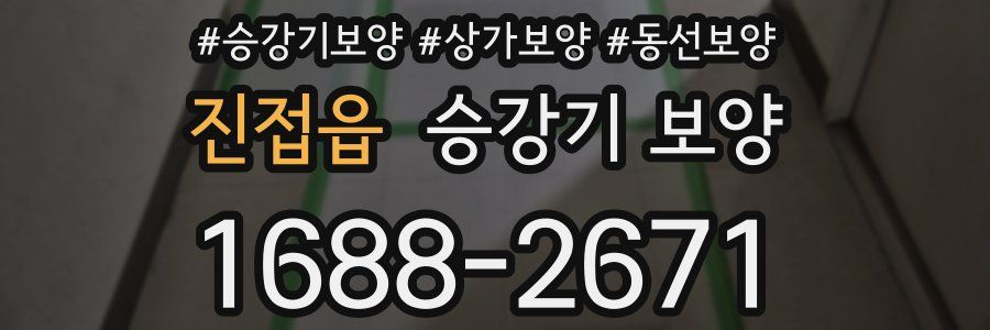 진접읍 승강기 보양
