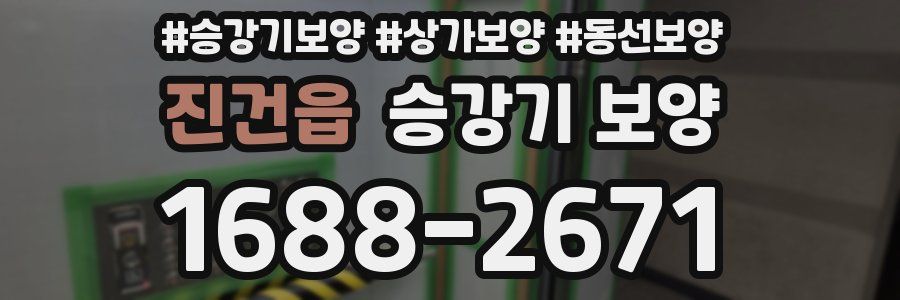진건읍 승강기 보양