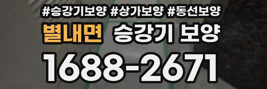 별내면 승강기 보양