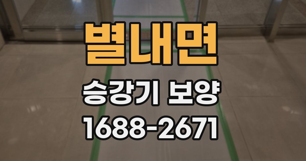 별내면 승강기 보양