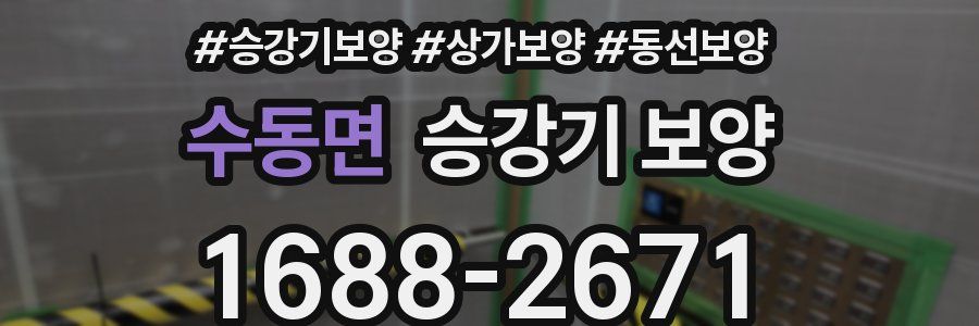 수동면 승강기 보양