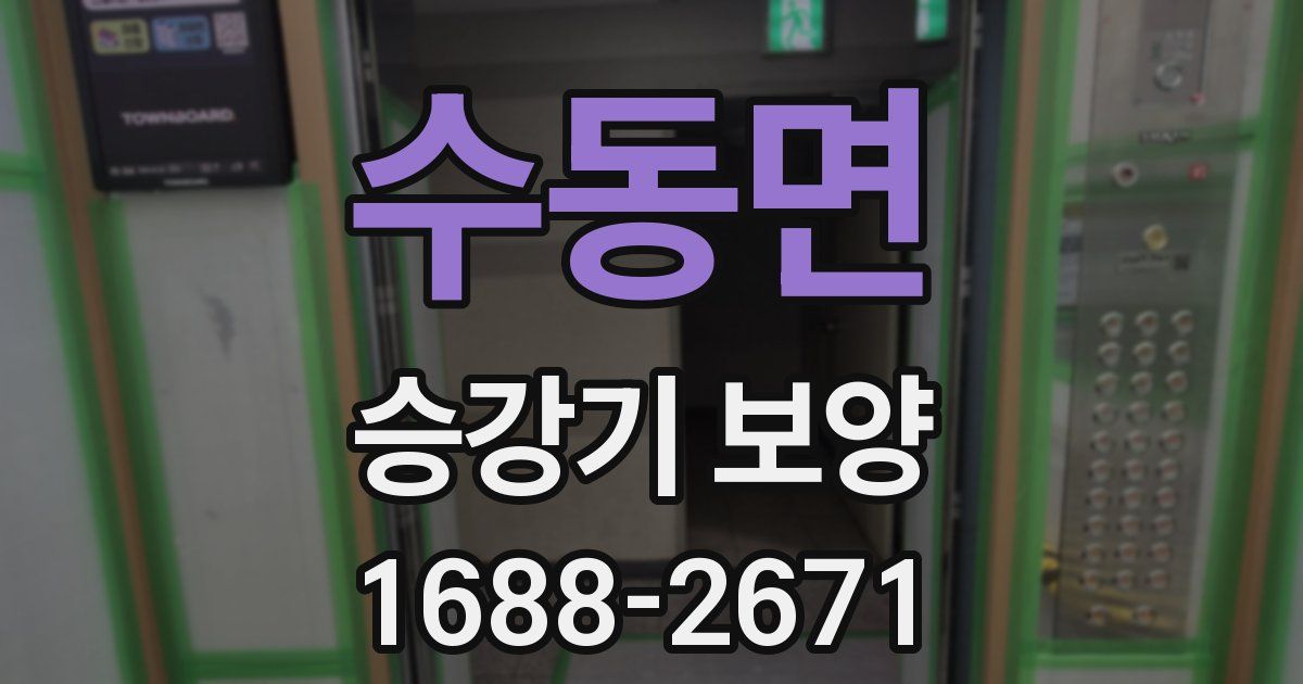 수동면 승강기 보양