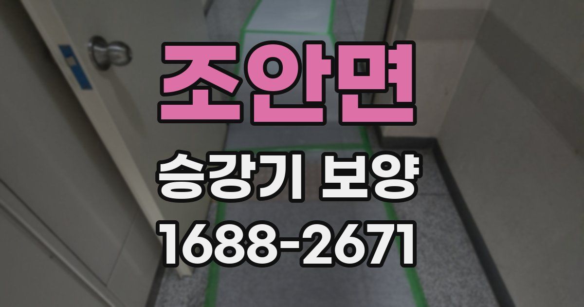 조안면 승강기 보양