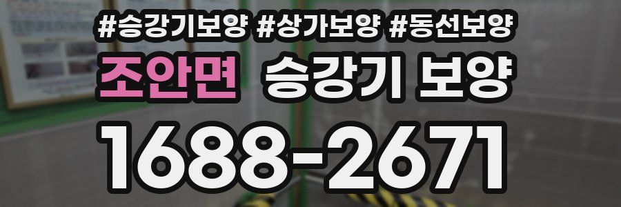 조안면 승강기 보양