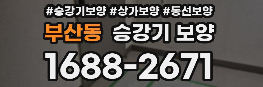 부산동 승강기 보양