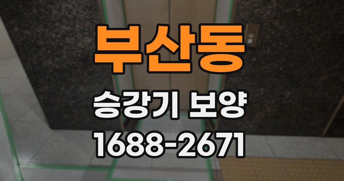부산동 승강기 보양