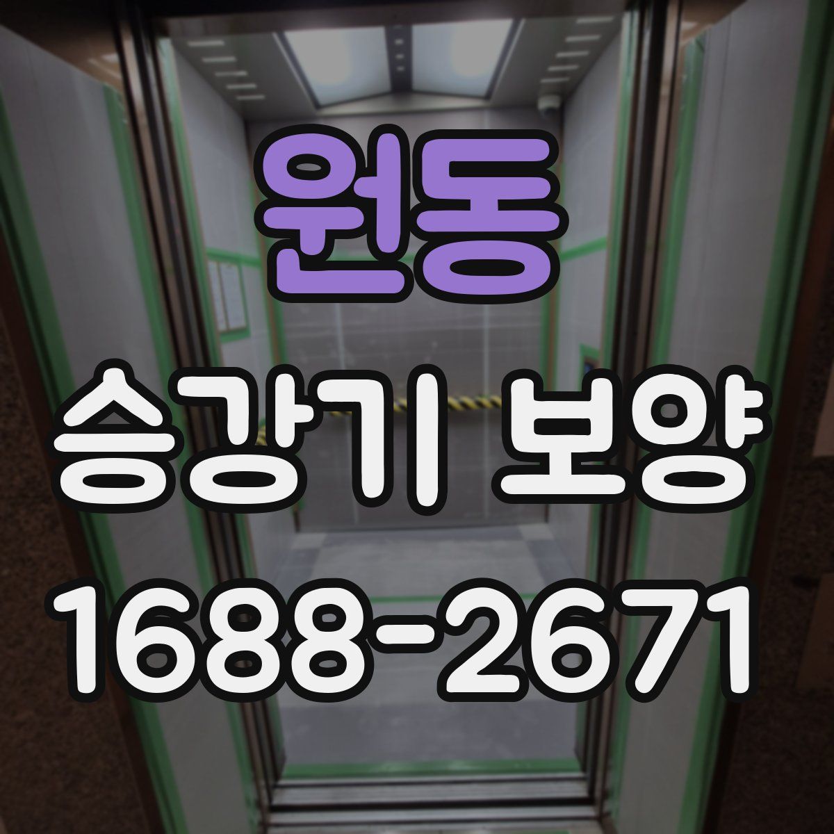 원동 승강기 보양