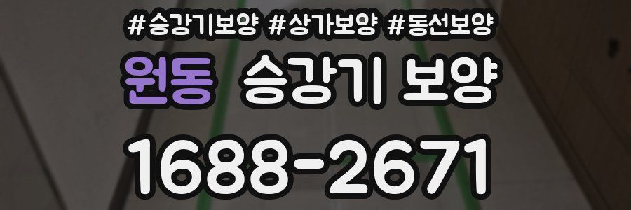 원동 승강기 보양