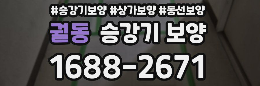 궐동 승강기 보양
