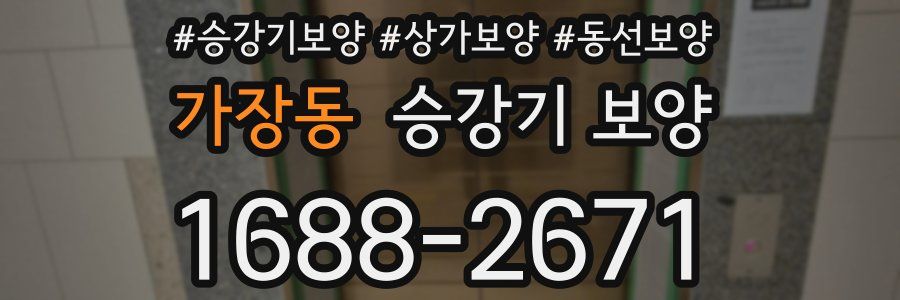 가장동 승강기 보양