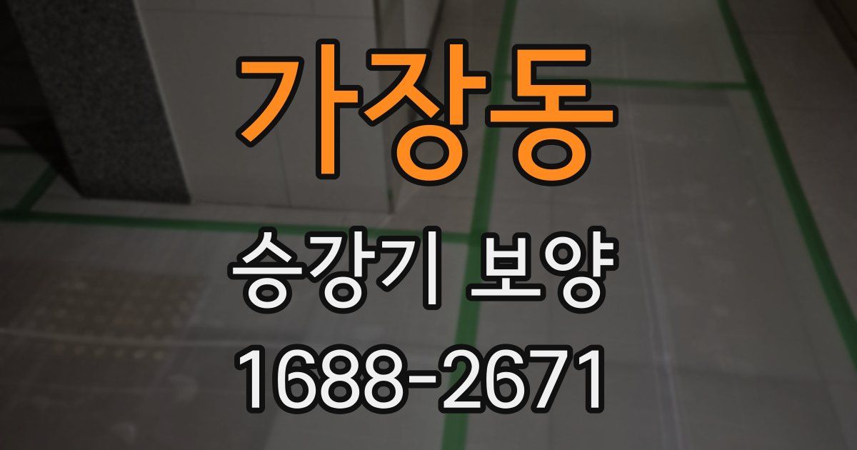 가장동 승강기 보양