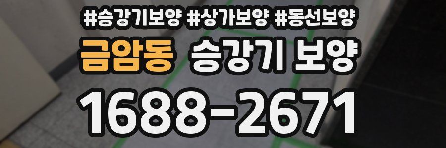 금암동 승강기 보양