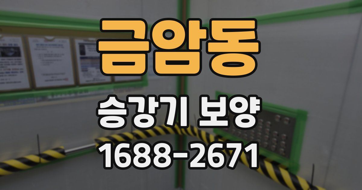 금암동 승강기 보양