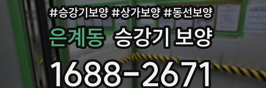 은계동 승강기 보양