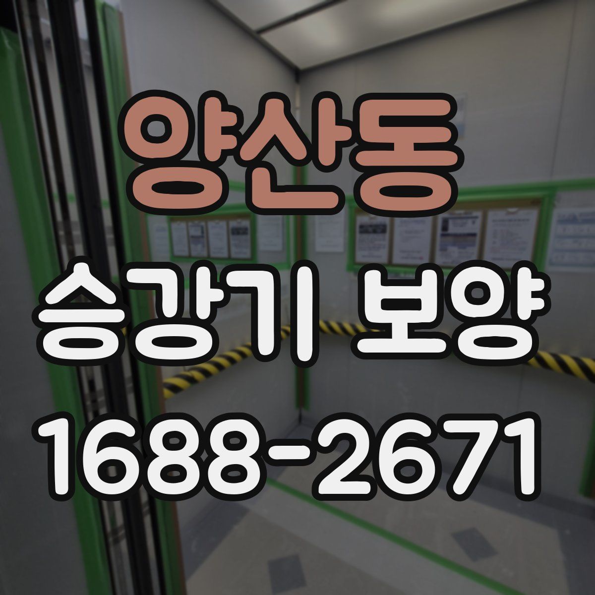양산동 승강기 보양
