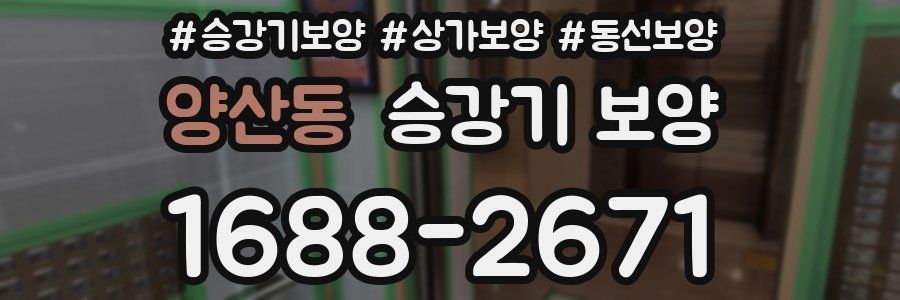 양산동 승강기 보양